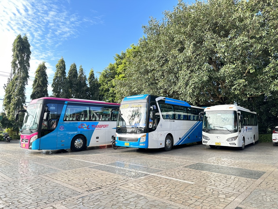 Tổ Chức Tour Quy Nhơn Trọn Gói – Xe Riêng, Hướng Dẫn Viên, Ăn Uống Chuẩn